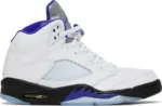 JORDANRETRO 5 Dark Concord